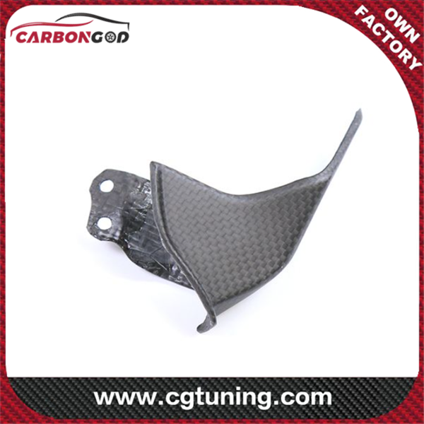 Carbon Fiber Rear Sprocket Cover Panigale / Streetfighter V4