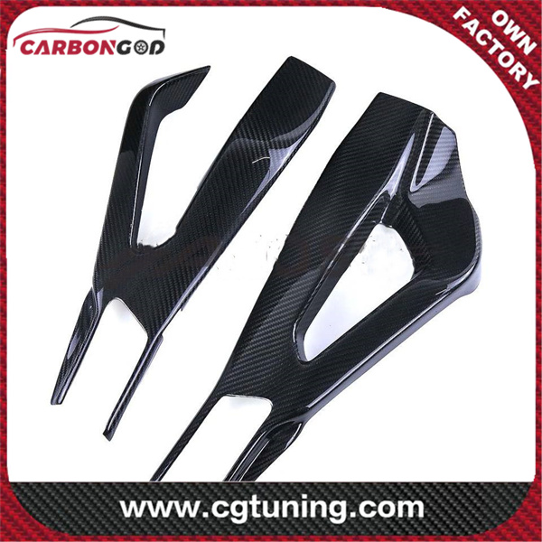 Carbon Fiber Swingarm Covers Protectors Style A S1000RR
