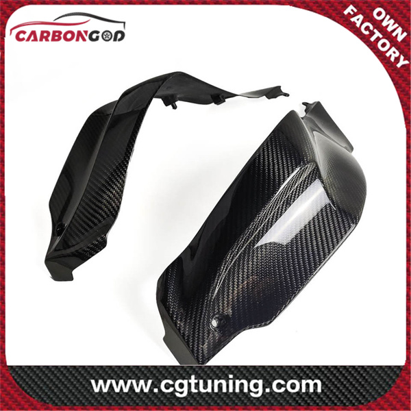 Carbon Fiber ZX-10R Carbon Fiber Tank Side Panels