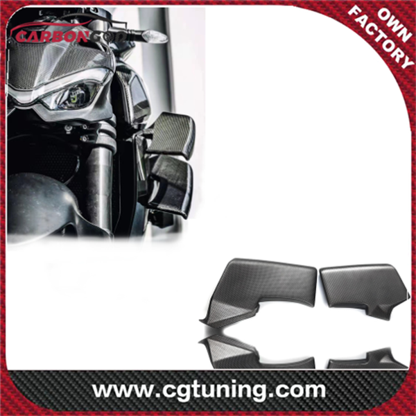 Carbon fiber Motorcycle Streetfighter V4 V2 Carbon Fiber Winglets