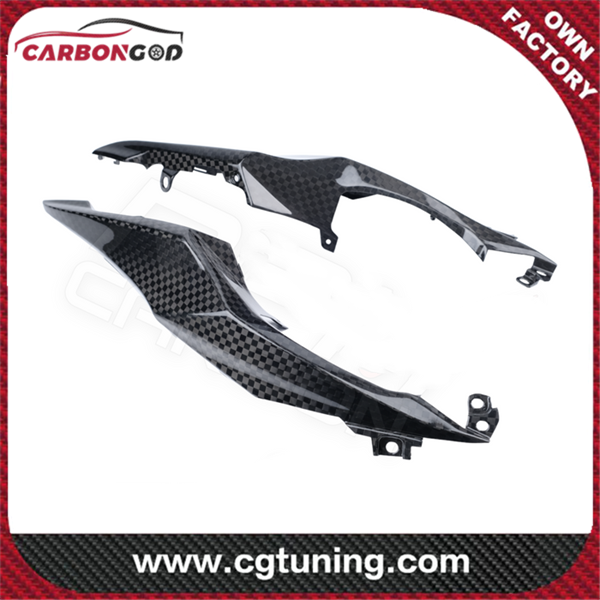 Carbon Fiber Suzuki GSX-R 1000 2017+ Tail Fairings Cowls