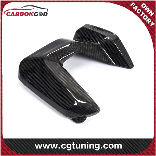 CARBON FIBER SPARK PLUG COVER RIGHT SIDE BMW R 1250 GS / R 1250 R, AND RS