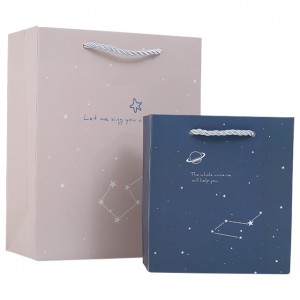 Gift Paper Bag Mei Handle Shopping Paper Bag