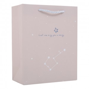 Gift Paper Bag With Handle Shopping Paper Bag