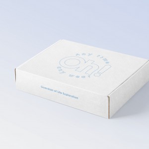 Reciklirajte krutu kutiju za transport Kutija od valovitog papira