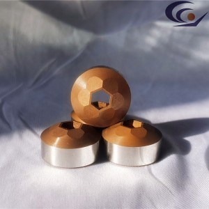 Manufacturer for Bolt Trimming Die - TRIMMING DIE (INTEGRAL) – Chaoyue