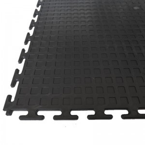faleteuoloa falegaosimea umi Anti-slip PVC Interlocking Floor Tile