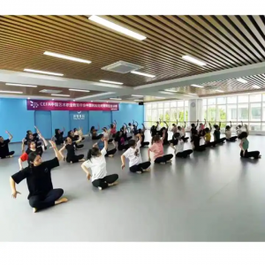 Китай Неплъзгаща се PVC подова подложка Класна стая Фитнес зала Танцуваща стая Винил Дансинг PVC ролка