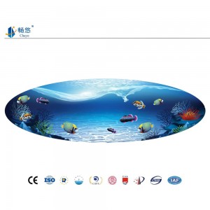 CHAYO Personalized and Customized PVC Liner-Underwater World