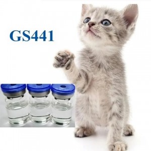 GS 441524 With Best Price Samples Available GS ...