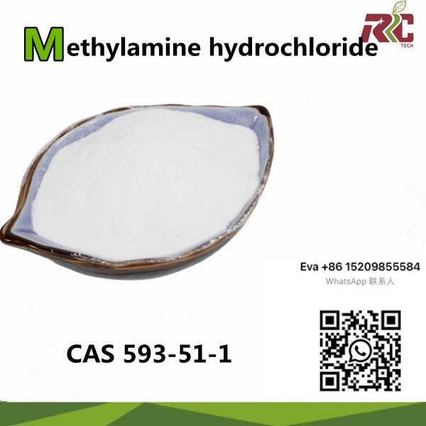 99% Purity CAS 593-51-1 Methylamine hydrochloride Powder in Stock