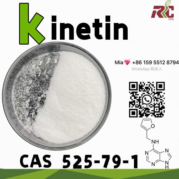 Plant growth hormone 6kt kinetin cytokinin 99% 525-79-1 with kinetin price
