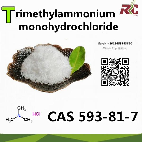 China Chemical Quality Products CAS 593-81-7 Trimethylammonium monohydrochloride