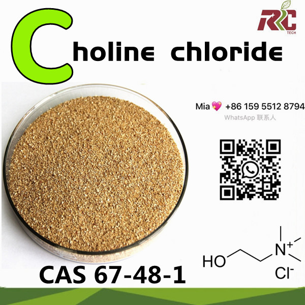 Large Quantity of High Quality Hot – Selling Stock CAS 67-48-1 Choline Chloride with Low Price