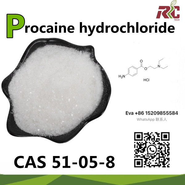 Procaine Hydrochloride Procaine HCl CAS 51-05-8