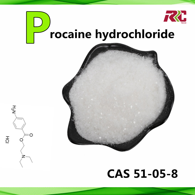 Factory Supply High Quality Procaine Hydrochloride  Procaine HCl CAS 51-05-8