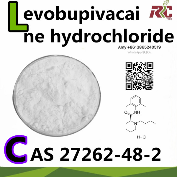 Fast Shipping CAS 27262-48-2 Levobupivacaine Hydrochloride