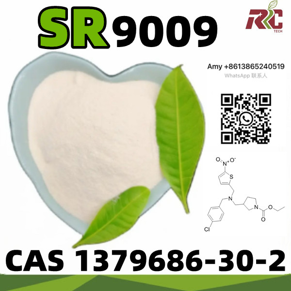 Factory Supply High Purity SR9009 Powder CAS 1379686-30-2