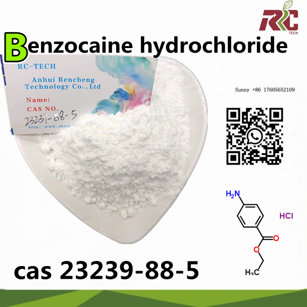 CAS 23239-88-5 Benzocaine hydrochloride high purity 99% chemical raw matericals pharmaceutical intermediate safe delivery double customs clearance