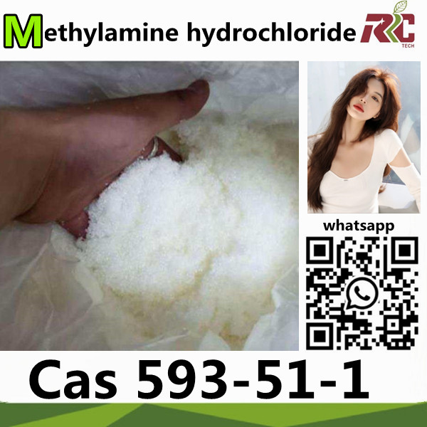 Factory Supply 99% Methylamine hydrochloride Cas 593-51-1 chemical raw matericals Pharmaceutical intermediate