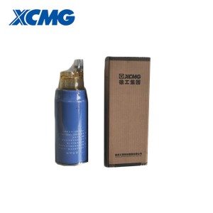 XCMG wheel loader spare parts fuel filter 1000424916A 860119766 860157920 612600081294