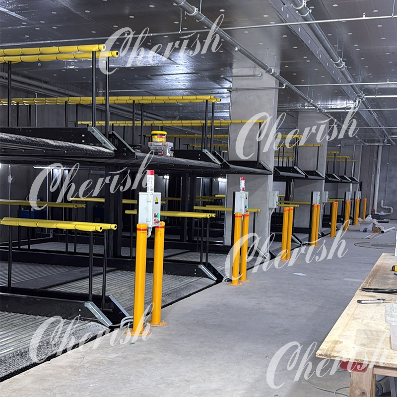 The Pit Car Stacker Project Was Completed in Australia