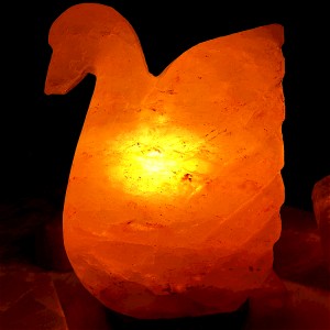 Himalayan natural salt lamp hand-carved Pakistani rock salt lamp manufacturer and wholesaler