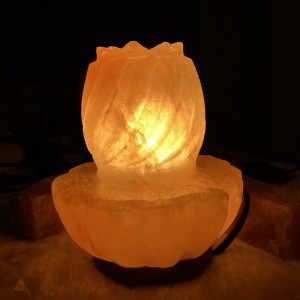 Natural salt lamp dimmer switch with original high quality Himalayan salt crystal night light