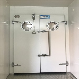 Manufactur standard International Cold Storage Replacement Door – Cold Room Swing/hinged Door – New Star