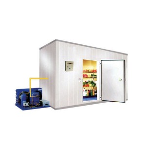 Online Exporter Fish Storage Cold Room - High Quality Vegetable cold room – New Star