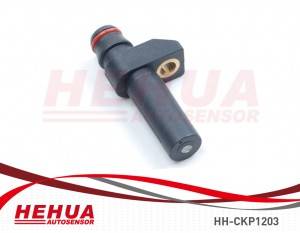 Good Quality Wheel Speed Sensor - Crankshaft Sensor  HH-CKP1203 – HEHUA
