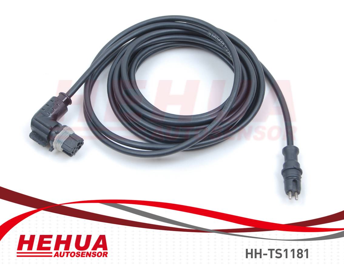 China Supplier Xenon Headlight Control Unit - ABS Sensor HH-TS1181 – HEHUA