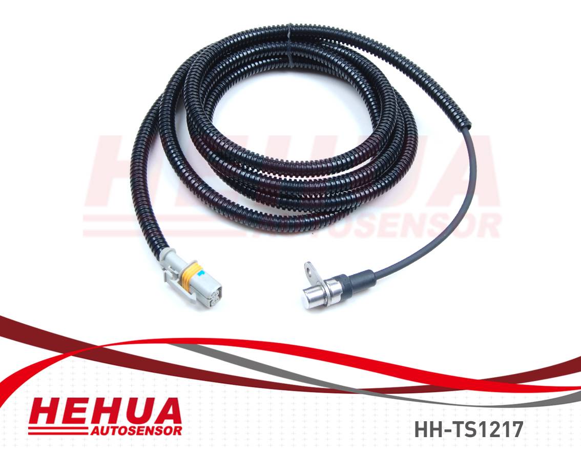 OEM Manufacturer Vacuum Solenoid Valve - ABS Sensor HH-TS1217 – HEHUA
