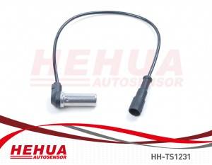 OEM Factory for Xenon Hid Headlight Ballast - ABS Sensor HH-TS1231 – HEHUA