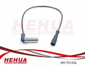 High definition Acceleration Sensor - ABS Sensor HH-TS1234 – HEHUA