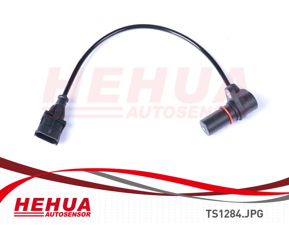 OEM Customized Hid Ballast Xenon - ABS Sensor HH-TS1284 – HEHUA