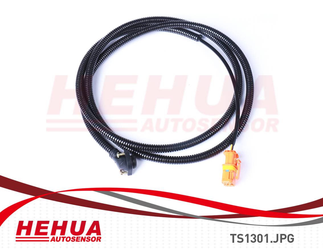 Well-designed Fuel Harness - ABS Sensor HH-TS1301 – HEHUA