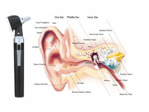 New Portable LED Light Hand Fiber Light Ear Clinical Otoscopic Otoscope