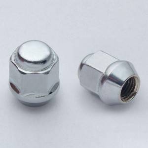 Quality Inspection for Galvanize Fasteners - Wheel Nut – Sunshow