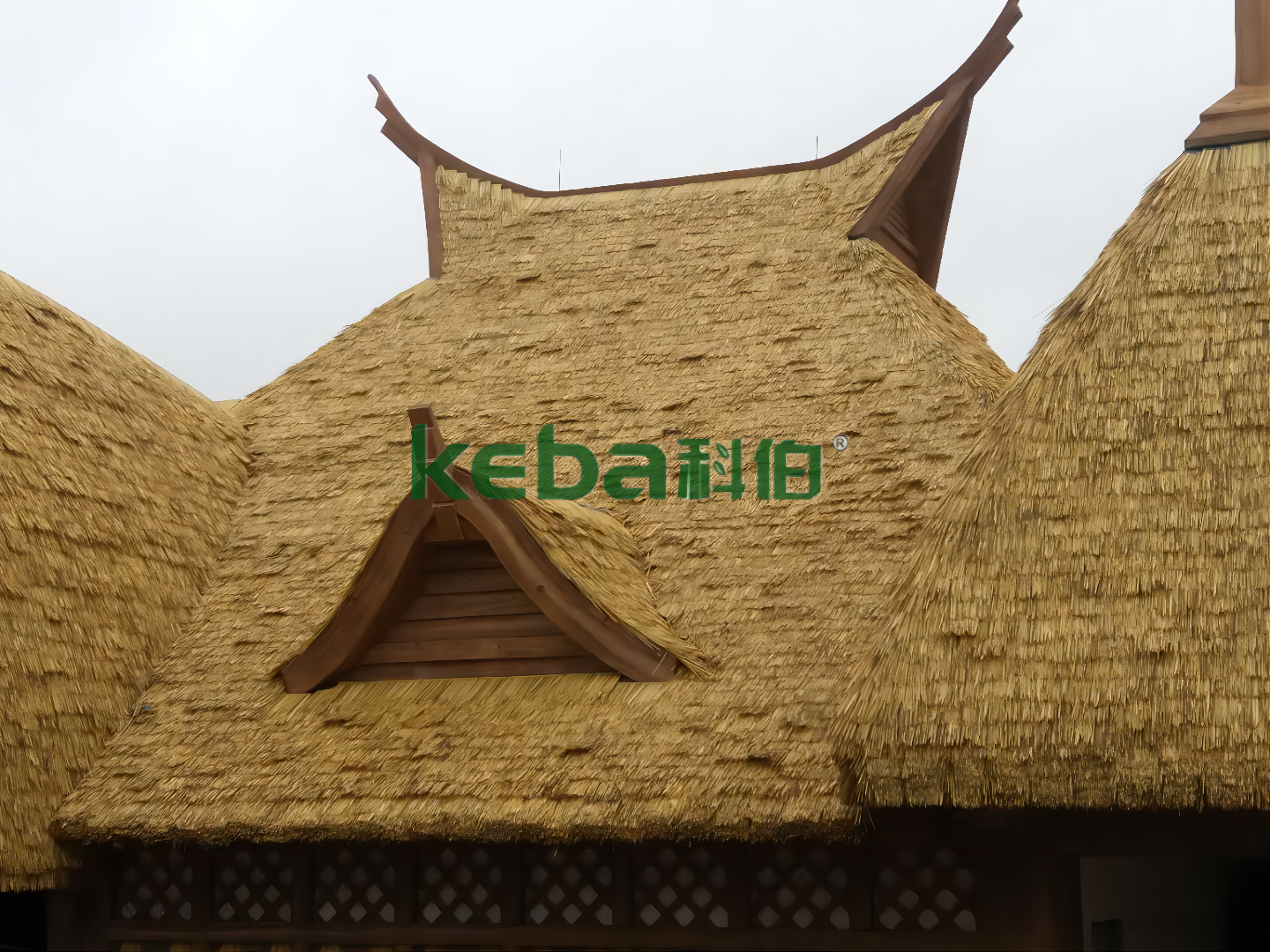 5 Ways to Improve the Thatch Hotel Value