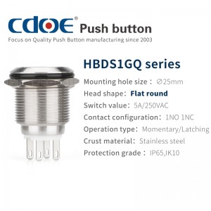 Flat Round 1no1nc Waterproof Ip65 Stainless Steel 25mm push button switch 220v 5a