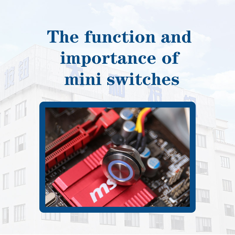 The Function and Importance of Mini Push Button Switches and Push Button Light Switches