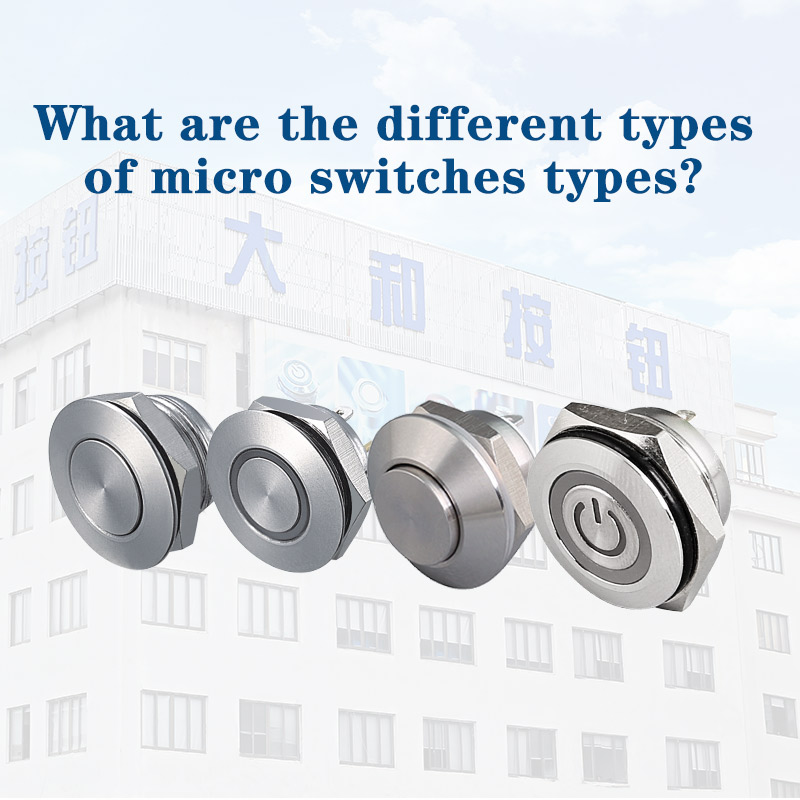What are the different types of micro switches types?