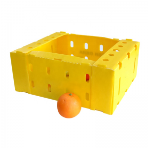 fruits box