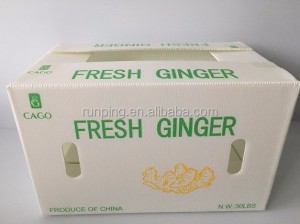White Ginger Box Vit pp material plast korrugerad färsk ingefära box
