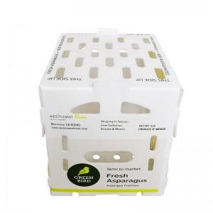 Op maat gemaakte aspergeverpakkingsdozen Opvouwbare PP golfkarflute Correx opslag aspergedoos