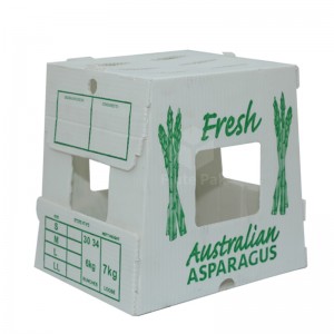 Brugerdefinerede asparges pakkebokse Folde PP Corrugated Corflute Correx opbevaring asparges æske