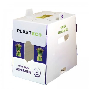 Scatole per imballaggio personalizzate per asparagi Scatola pieghevole per asparagi in cartone ondulato Corflute Correx