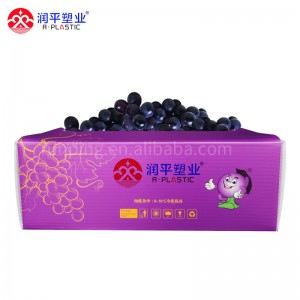 Kotak palastik Anggur Cina OEM Factory Dicitak kotak Foldable didaur