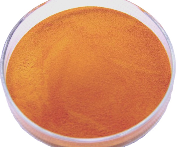 Factory Price 2-(Perfluoroalkyl)Ethyl Methacrylate - Hot Selling Supplyment Vitamin B2 Powder CAS: 83-88-5 – Dumi